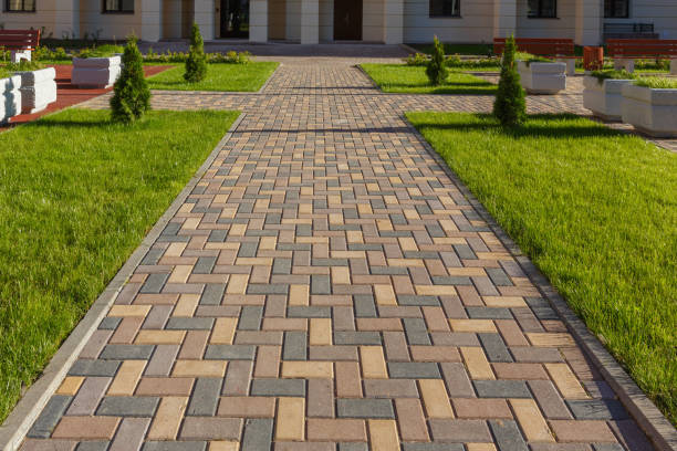 Best Driveway Paving Company  in USA